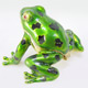 Frog Jewelry Boxes